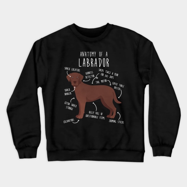 Chocolate Labrador Retriever Dog Anatomy Labrador Crewneck